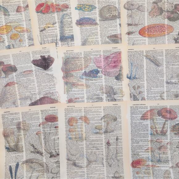 Mushroom Dictionary Prints 3, Colorful Mushroom Prints, Book Page Prints - Picture 1 of 6